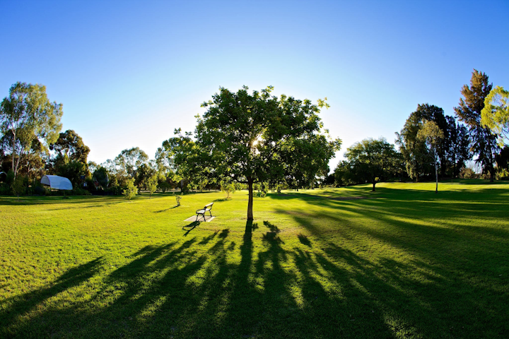 Caroline Clark Memorial Garden
